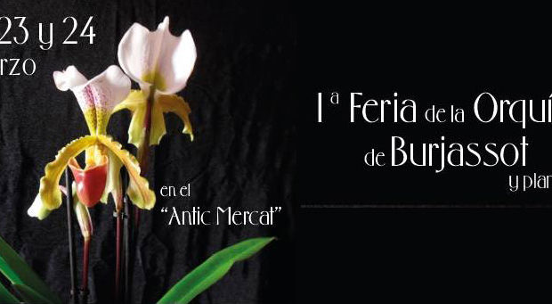 Feria Orquídeas de Burjassot