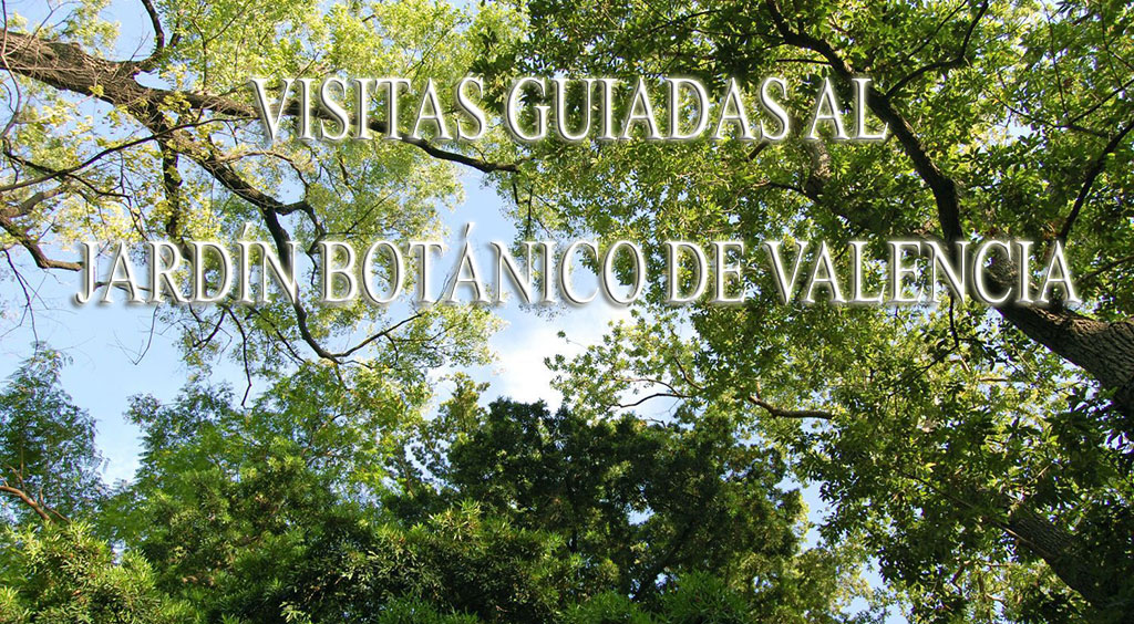 Visitas guiadas al Jardín Botánico de la Universidad de Valencia